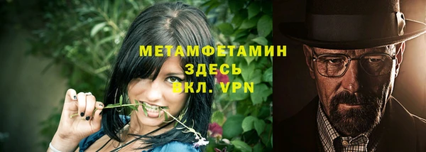 сатива Михайловск
