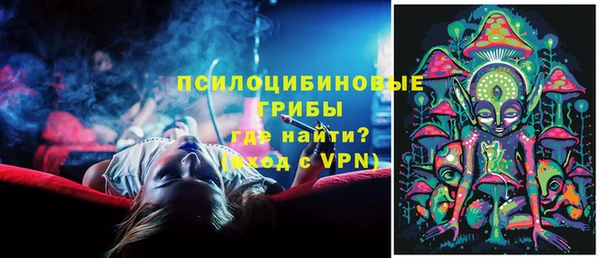 сатива Михайловск