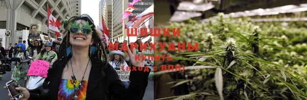 сатива Михайловск